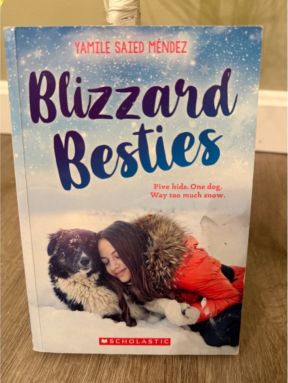Blizzard Besties by Yamile Saied Méndez - Children's Book